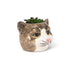 Small Tabby Cat Planter - 2.5"H - Vintage MC