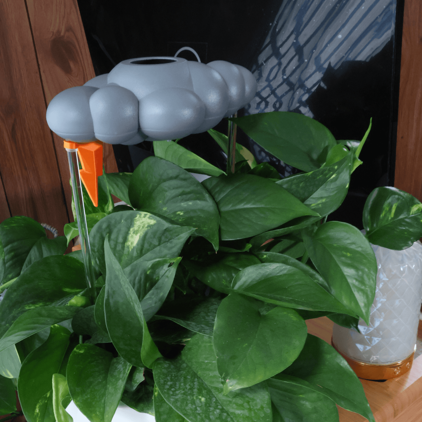 Stormy Cloud Plant Waterer - Vintage MC
