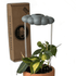 Stormy Cloud Plant Waterer - Vintage MC