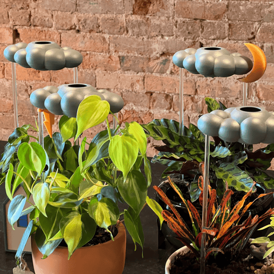 Stormy Cloud Plant Waterer - Vintage MC