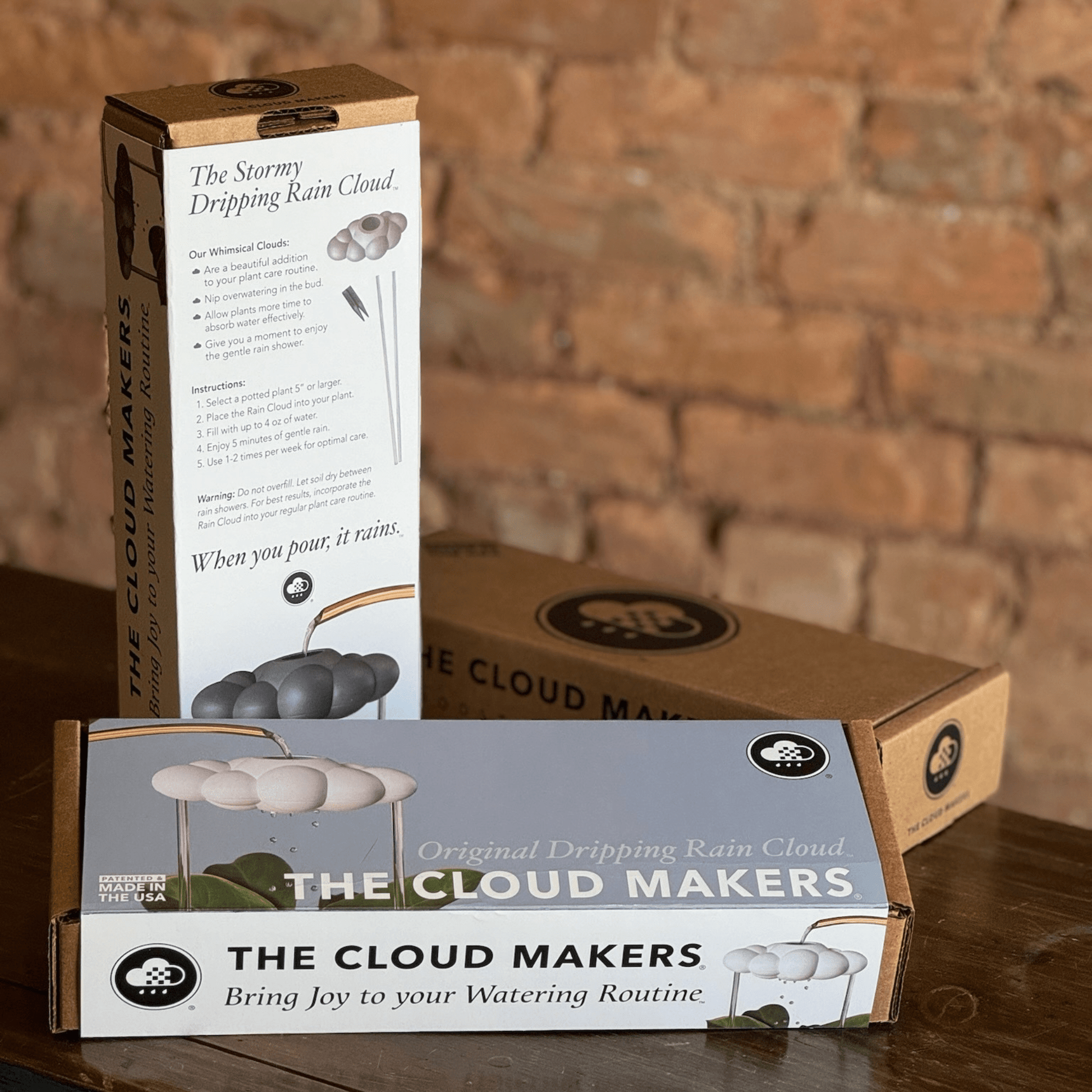 Stormy Cloud Plant Waterer - Vintage MC
