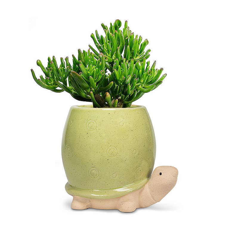 Tall Green Turtle Planter - 5"H - Vintage MC