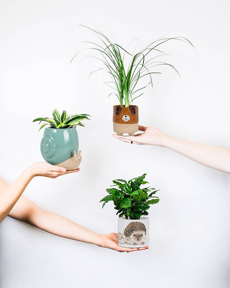 Tall Turq Snail Planter - 5"H - Vintage MC