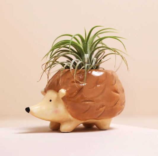 Tiny Hedgehog Airplant Holder - Vintage MC