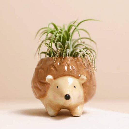 Tiny Hedgehog Airplant Holder - Vintage MC