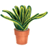 Felted Plant - Vintage MC