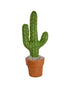 Felted Plant - Vintage MC