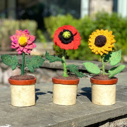 Felted Plant - Vintage MC