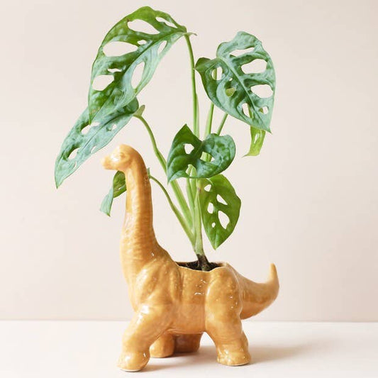 Mustard Diplodocus Dinosaur Planter - Vintage MC