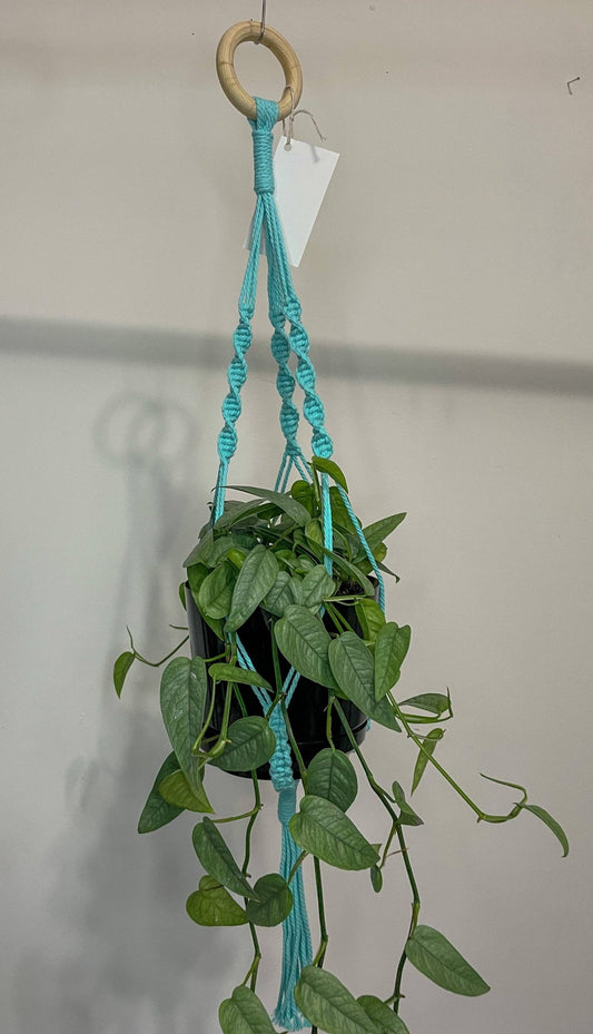 Pastel Plant Hangers - Macrame Plant Hanger - Handmade - Vintage MC