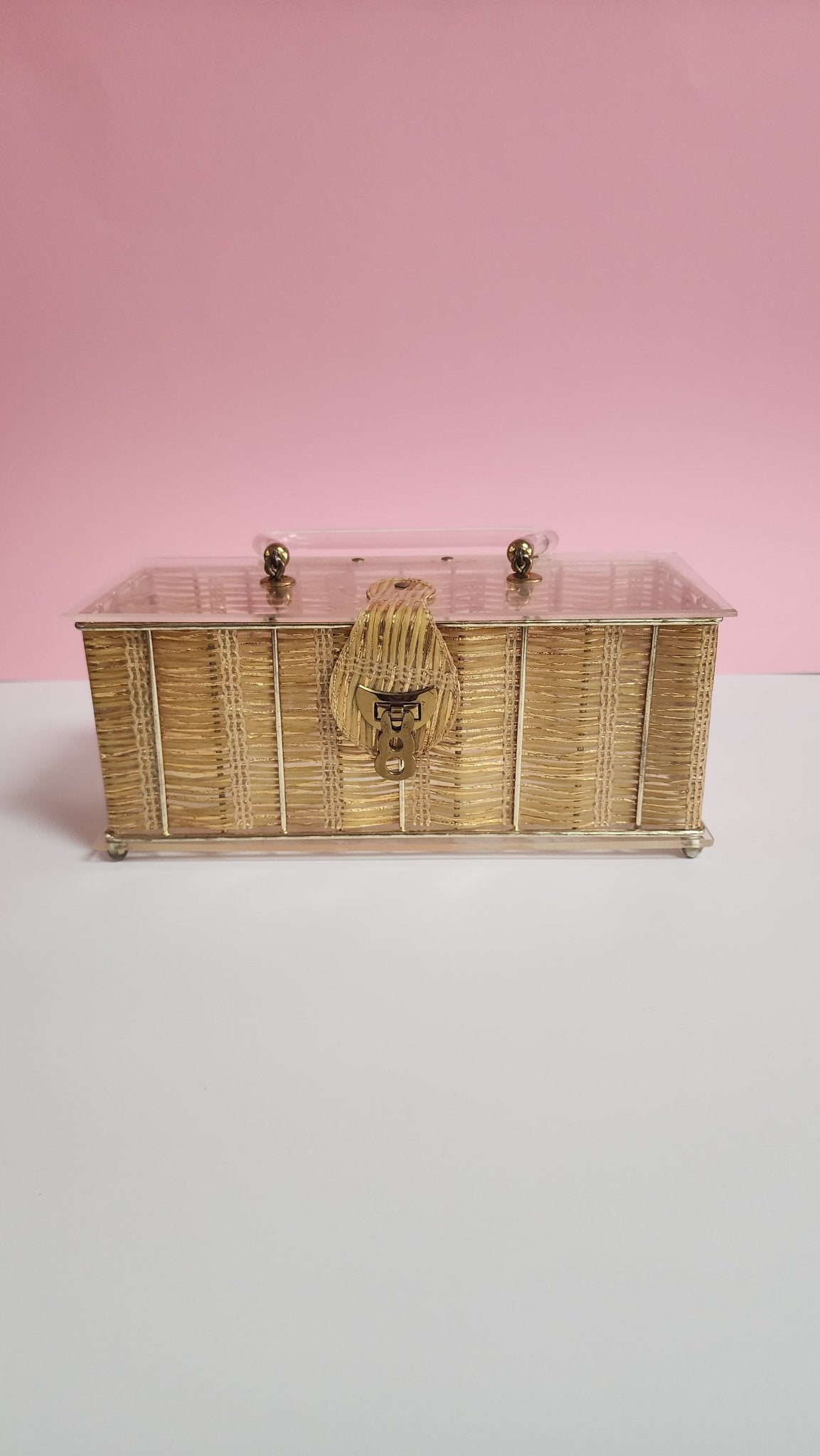 Vintage Dorset Rex Lucite Purse - Vintage MC